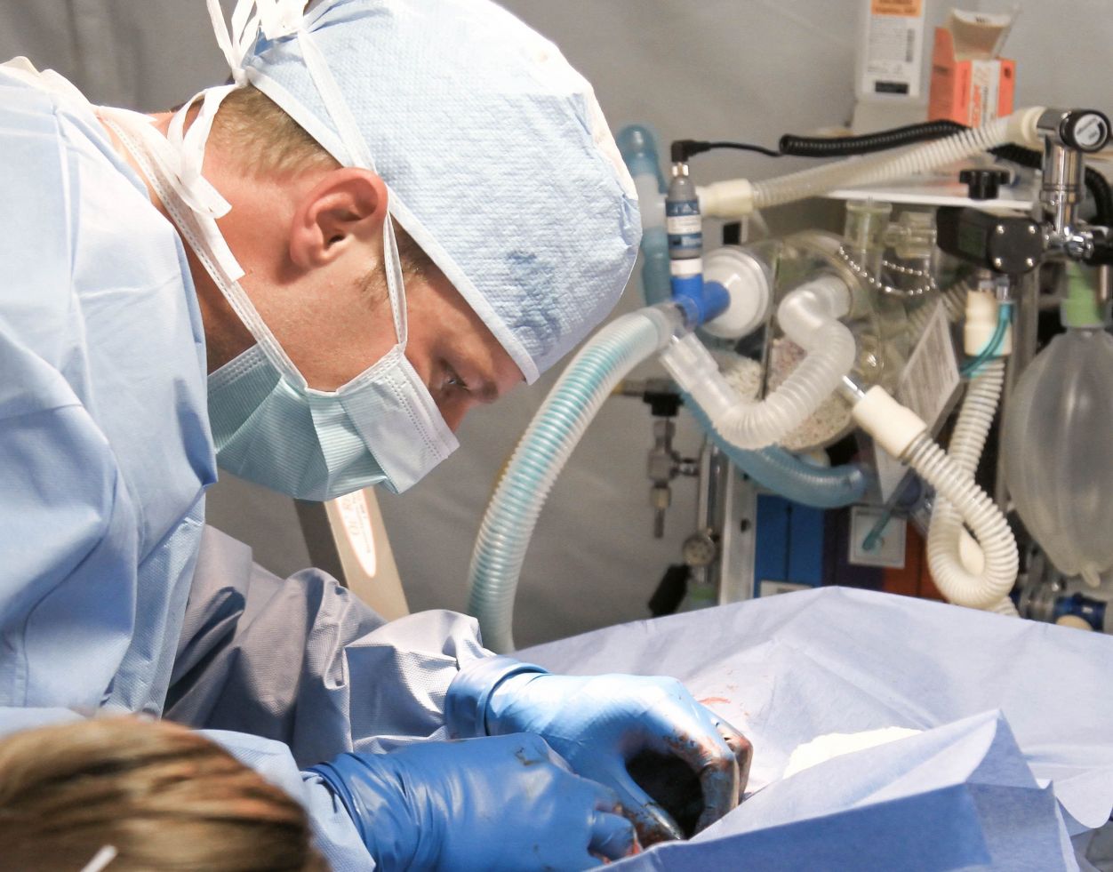 AngioVascular 02